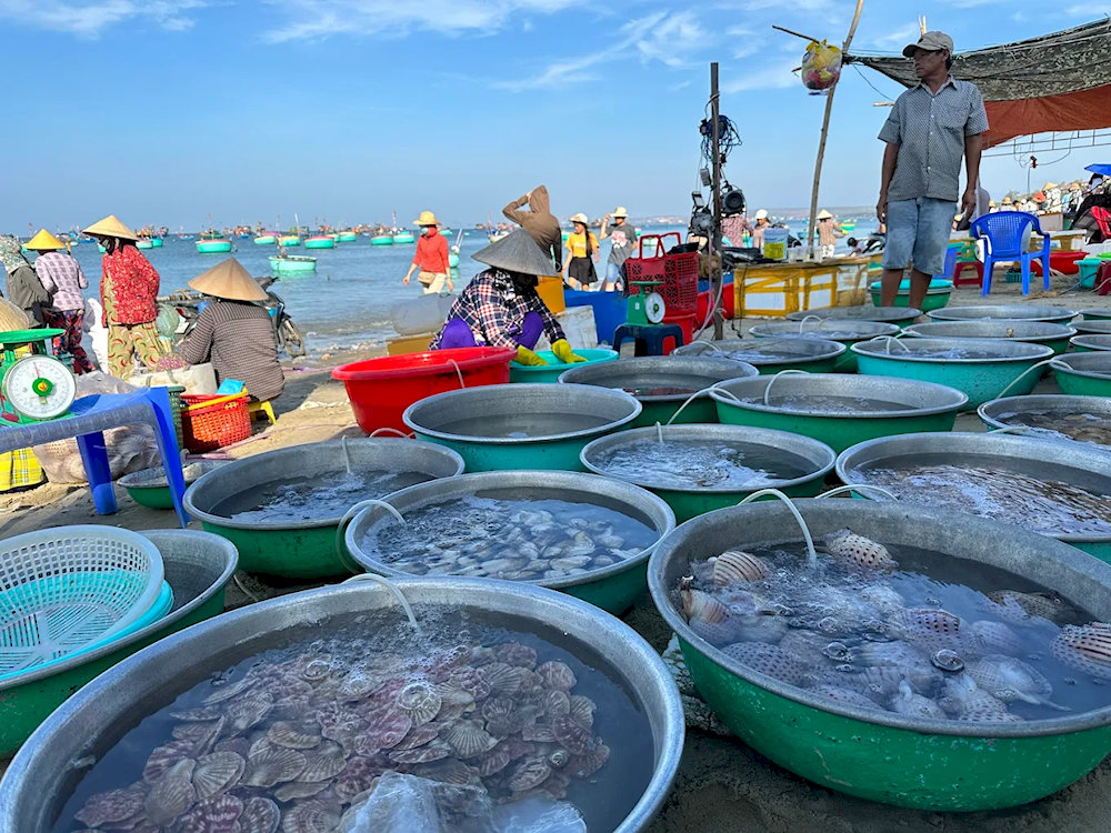 Cảnh b&atilde;i biển L&agrave;ng Ch&agrave;i